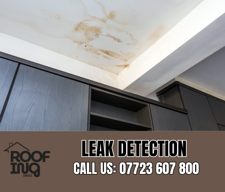Roof Leak Detection in Hayle